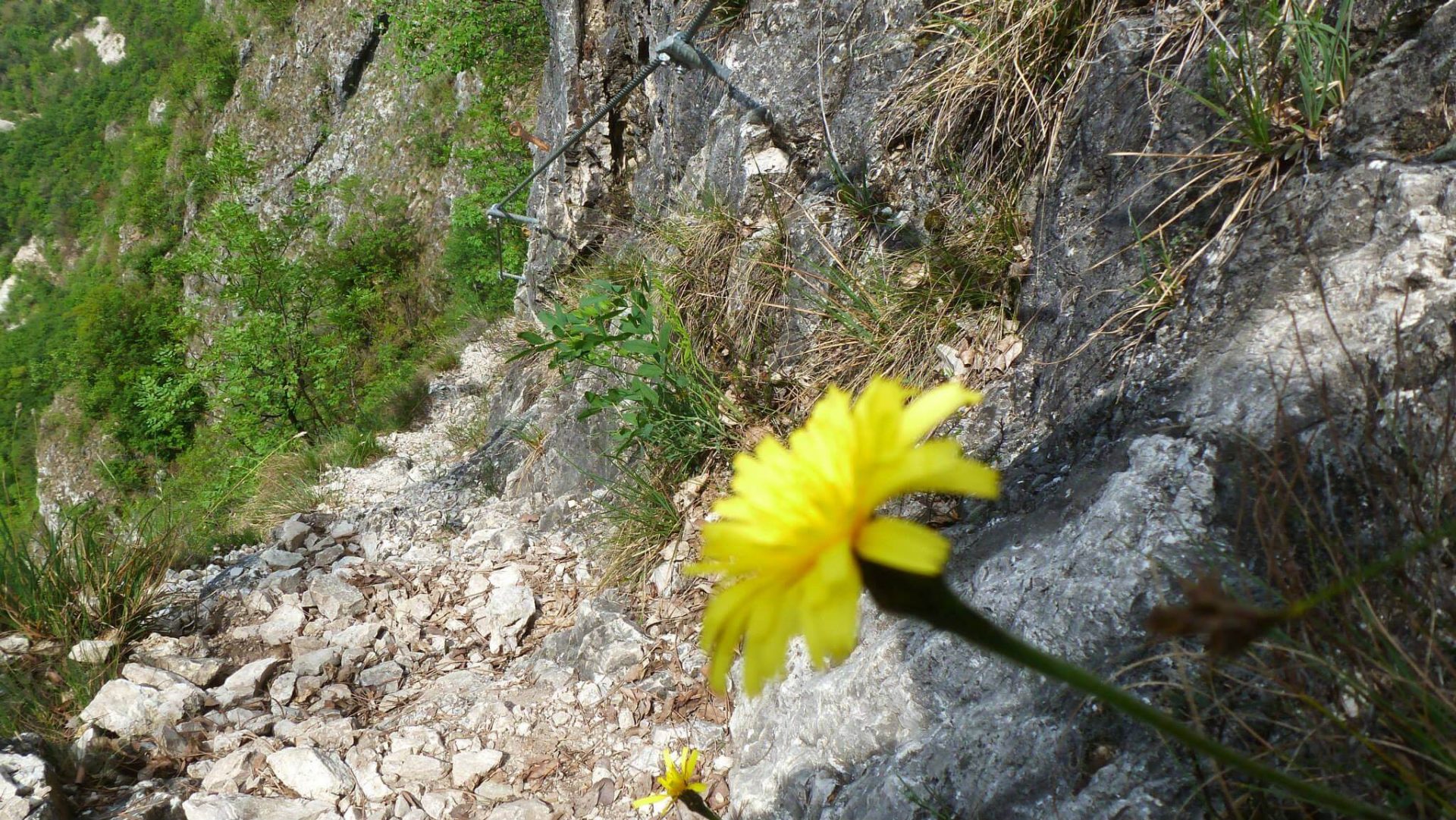 Sentiero Attrezzato Burrone Giovanelli - foto 42
