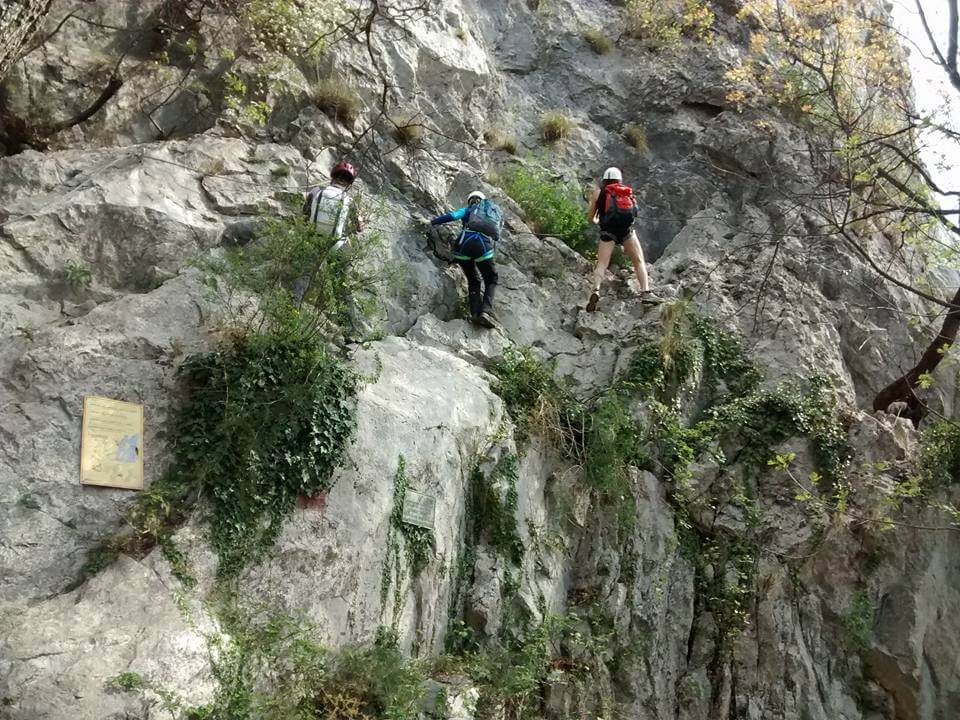 Ferrata Biondi - foto 4
