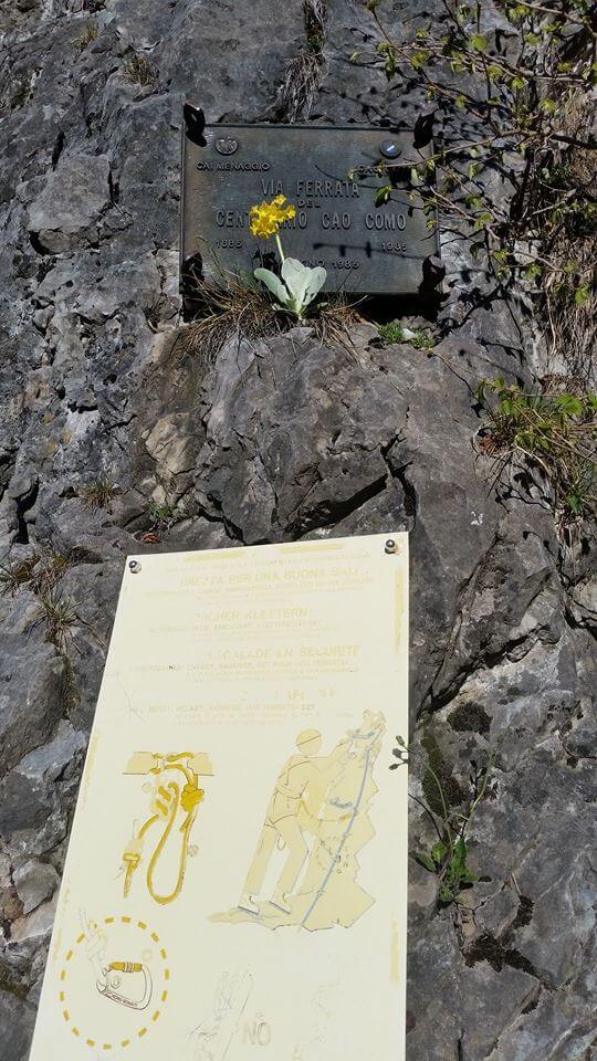 Ferrata del Centenario CAO Como - Monte Grona - foto 7