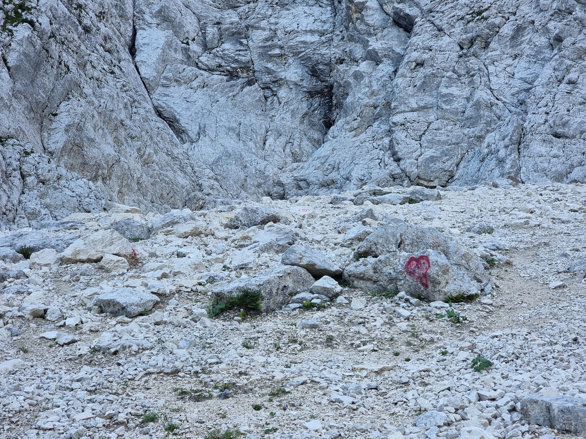 Ferrata Kugy allo Strugova - foto 8