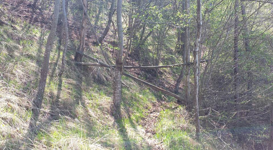 Ferrata Parete dei Falchi - foto 15