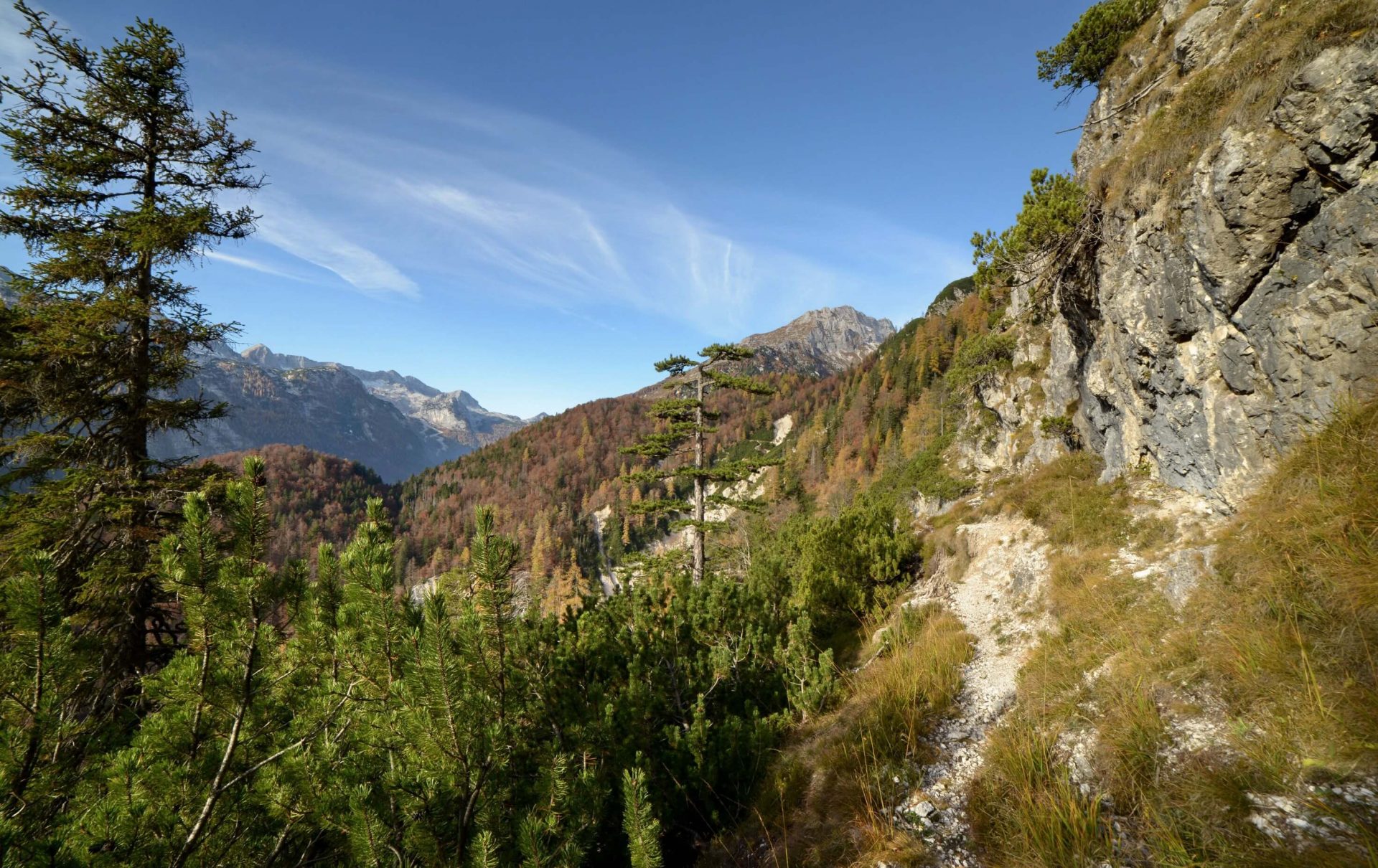 Sentiero Attrezzato Re di Sassonia – La Torre, Alpi Giulie - foto 24