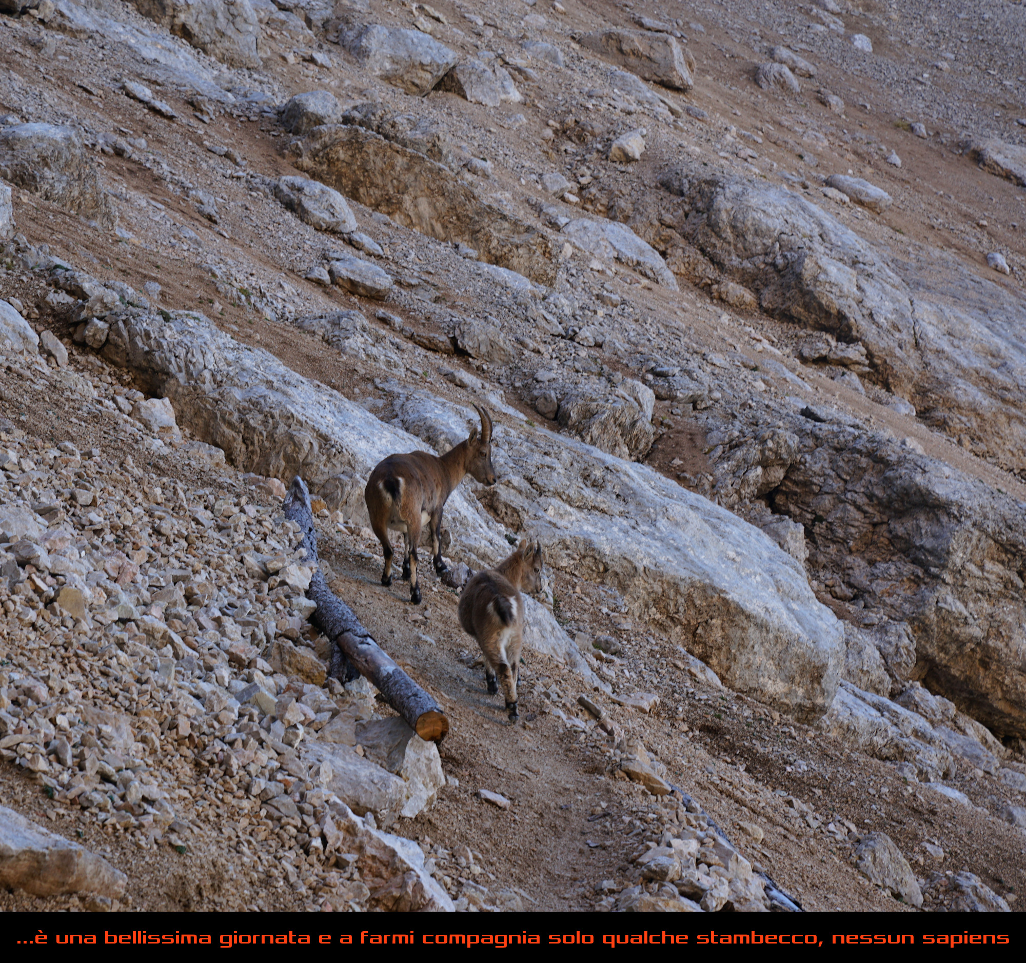 Ferrata di Punta Penia (cresta ovest della Marmolada) - foto 36