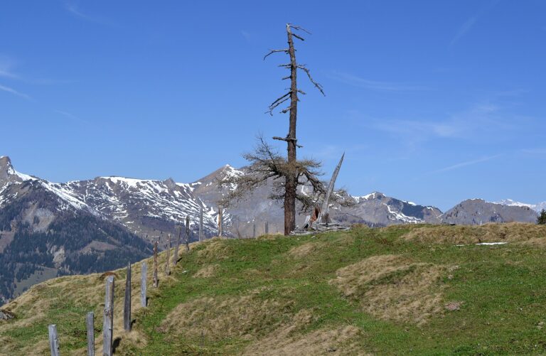 Ferrata Bella Cascinaia (Bella Cascinaia Klettersteig)
