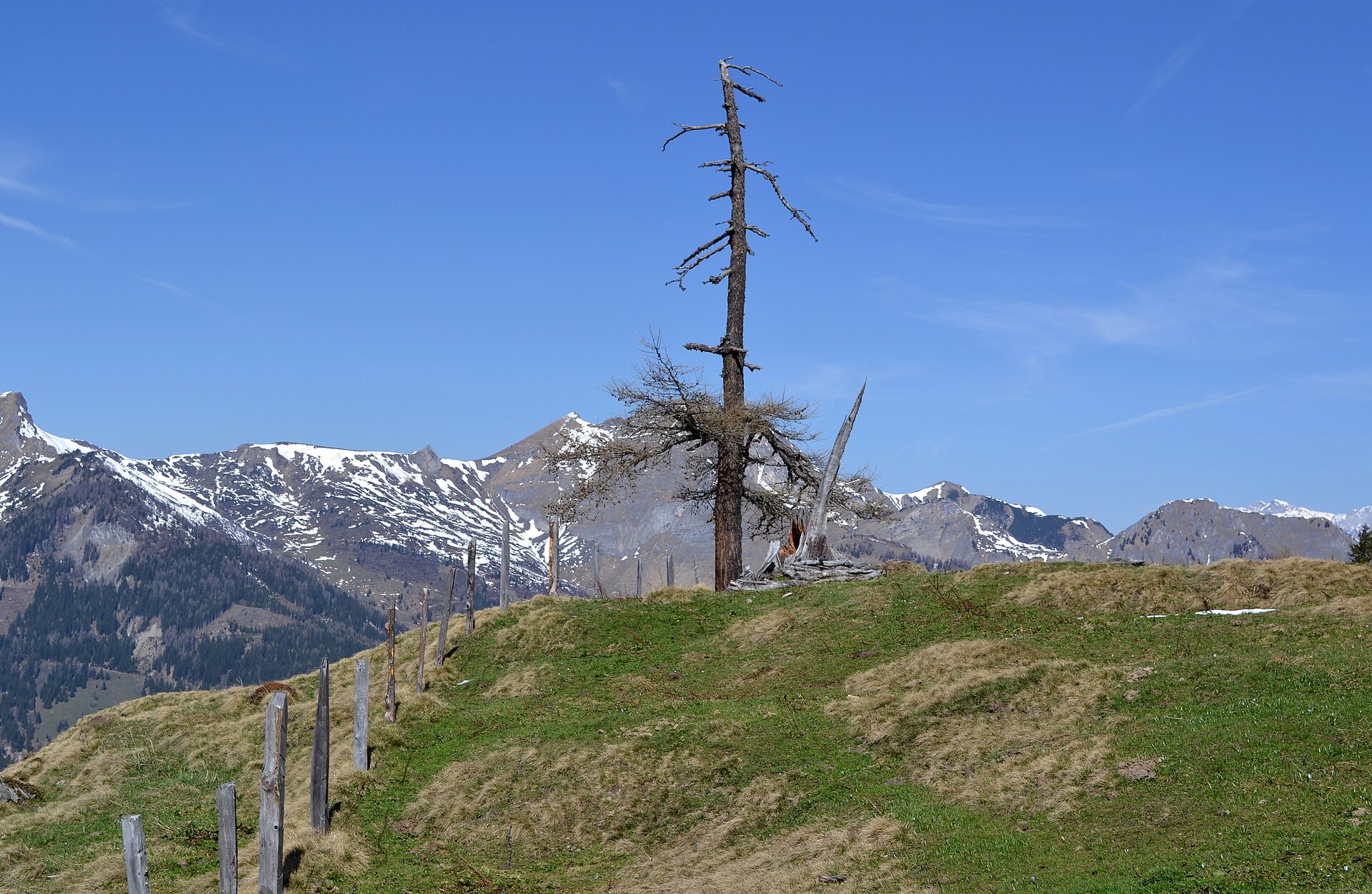 Ferrata Bella Cascinaia